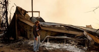 With Their LA-Area Homes Still Smoldering, Families Return to Search the Ruins for Memories